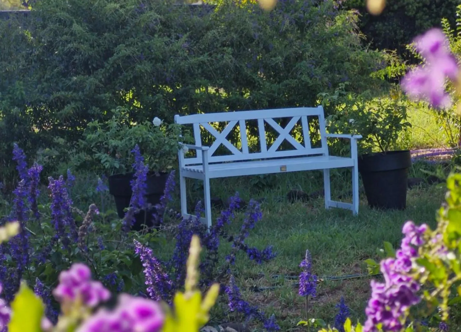 Vibrant & Vintage B & B Greenmount